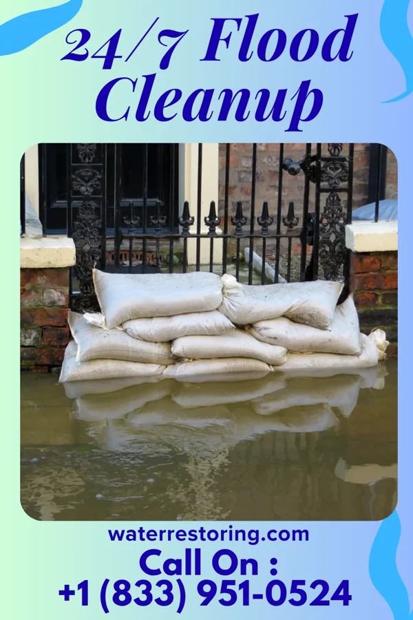 24/7 Flood Cleanup in Soso, MS