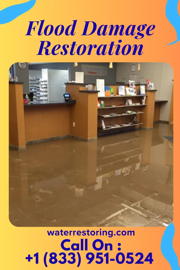 Flood Damage Restoration in Soso, MS