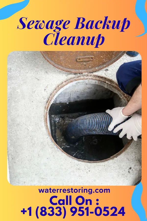 Sewage Backup Cleanup in Soso, MS